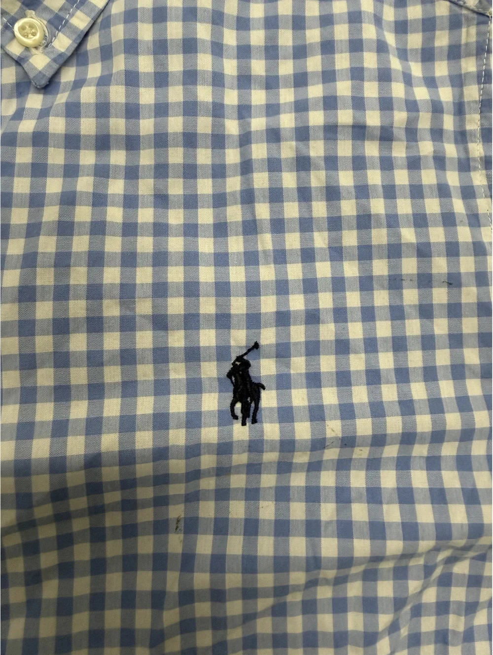 Ralph Lauren Blue and White Gingham Button-Down Shirt, Size L (14-16)
